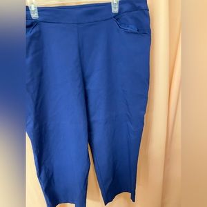 Time & Tru pants, 2X.